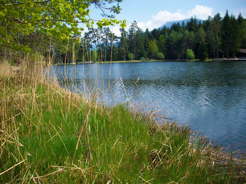 Völser Weiher Völs am Schlern Südtirol