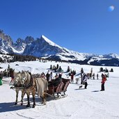 Skigebiet Seiser Alm Pferd Kutsche