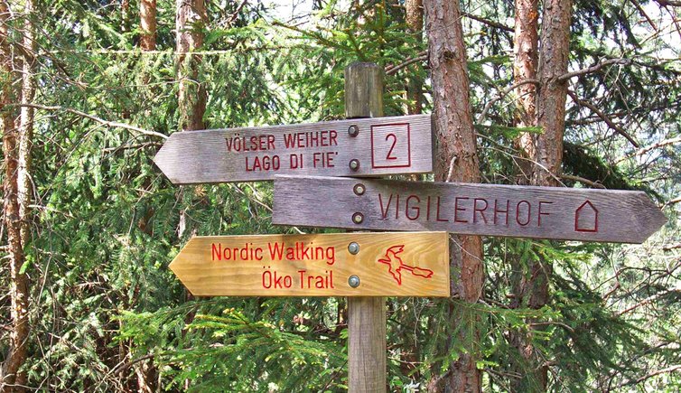 nordic walking trail voels