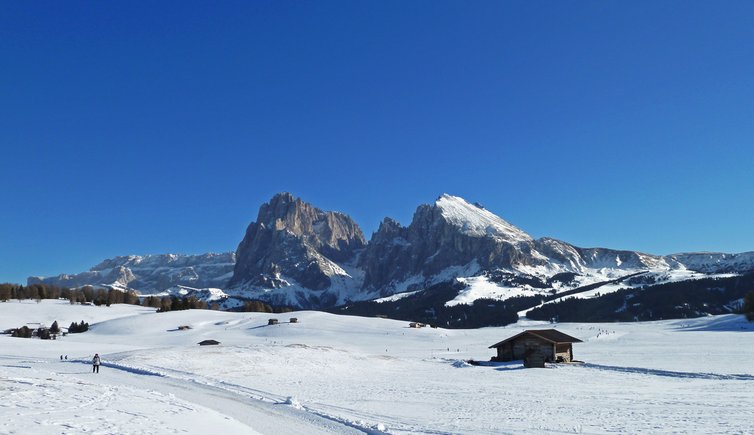 seiseralm winter alpedisiusi inverno