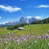 Ein Wahrzeichen der Natur ist hingegen die Seiser Alm. Ihre W&auml;lder und ausgedehnten Blumenwiesen sind gesch&uuml;tzter Teil des Naturparkes Schlern-Rosengarten. Foto: AT, &copy; Peer