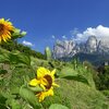 I ruderi di Castel Aichach ed il maso biologico Pfleger (produzione di erbe aromatiche) si trovano sul sentiero per Sant’Osvaldo. Foto: AT, &copy; Peer