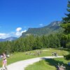 The Marinzen meadows above Castelrotto. Foto: AT, &copy; Peer