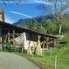 Il molino Malenger ha 500 anni. Qui si pu&ograve; vedere come si produceva la farina. Foto: AT, &copy; Peer