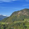 L’autunno arriva sui prati lungo il sentiero da San Viglio a Sant’Osvaldo di Castelrotto. Foto: AT, &copy; Peer