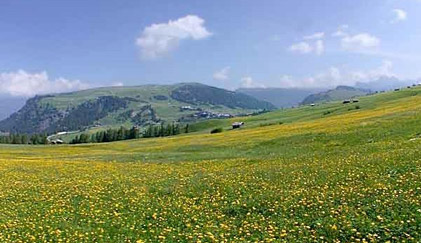 Seiser Alm im Sommer
