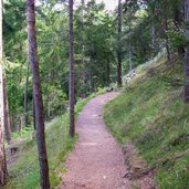 waldweg bei seis am schlern