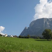 Voels am Schlern Wiese Baum