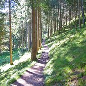 seis geologensteig waldweg unterer abschnitt