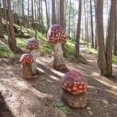 kastelruth pilzeweg laranz fliegenpilze