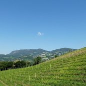 RS proesler ried weinberg dahinter ritten unterinn