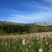 seiser alm