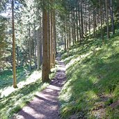 seis geologensteig waldweg unterer abschnitt