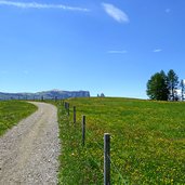 seiser alm weg nr S blick auf schlern