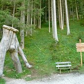 seis geologensteig abzweigung baumdurchgang