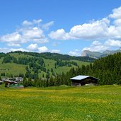 seiser alm bei saltria