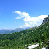 wald bei cunfinboden