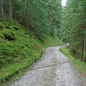 waldweg tagusens tamines hof