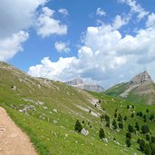 campitello di fassa sella e col rodella