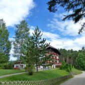 voelser weiher hotel waldsee