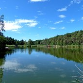 voelser weiher nordufer