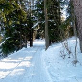 seiser alm hans paula steger weg winter waldabschnitt