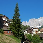 tiers dorf