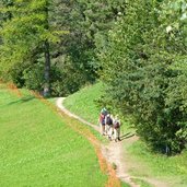 wanderweg marinzen kastelruth wanderer