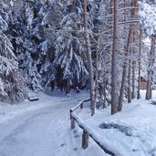 seerundweg voelser weiher winter