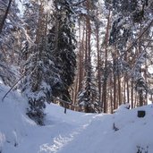 weg zur tuffalm winter