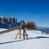 seiser alm schlern hexenbesen winter