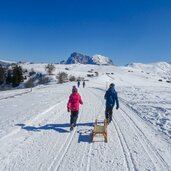 seiser alm person rodel langkofel plattkofel winter