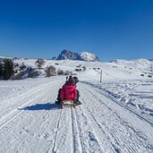 seiser alm person rodel langkofel plattkofel winter