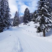 weg nr seiser alm saltria winter rodelbahn molignon