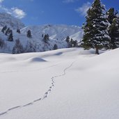 winterlandschaft und spuren im schnee am weg rodelbahn molignon saltria seiseralm