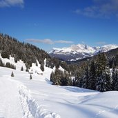 almhuetten am weg nr seiser alm saltria winter dahinter geislergruppe