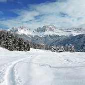 aussicht auf rosengarten winter tiers bei wuhnleger