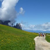 wanderweg mit schlern