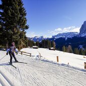 seiser alm winter langlaufen person