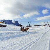 seiser alm winter langlaufen pferdeschlitten