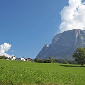 Voels am Schlern Wiese Baum