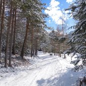 rodelbahn weg nr hofer alpl voels winter