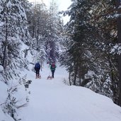 rodelbahn weg nr hofer alpl voels winter