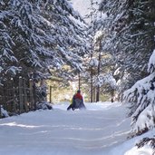 voels rodelbahn hofer alpl rodel rodeln