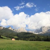 RS Weisslahnbad Wiese Landschaft Berg Frisch Wald