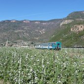 RS apfelbluete bei terlan zug eisenbahn