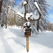 RS tiers winterwald weg nr richtung wuhnleger wegweiser