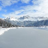 RS wuhnleger weiher tiers winter blick auf rosengarten