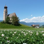 RS voels am schlern st konstantin kirche kartoffelacker