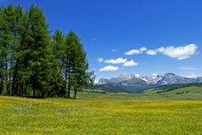 seiser alm blumenwiese highlights